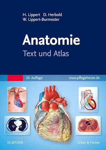 Anatomie: Text und Atlas - Medizinbuch mit umfassenden Abbildungen und detaillierten Erklärungen, ideal für Studierende und Fachleute der Medizin.