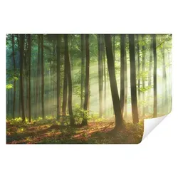 Wallarena Fototapete Wald Sonne Natur Landschaft Vlies Tapete Wohnzimmer Schlafzimmer, Glatt Vlies, Struktur Vinyl, Landschaft, Sonniger Wald, Tapete inklusive Kleister Vliestapete Motivtapete Wandtapete 3.12 m x 2.19 m