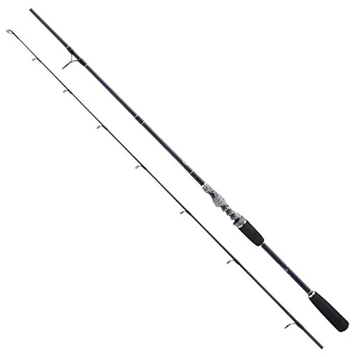 Berkley Skeletor XCD 902 M - Raubfischrute, 2,70m / 15-40g, Schwarz, Spinnen