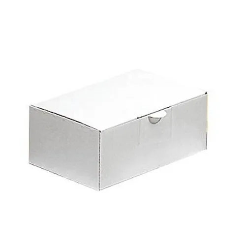 Faltschachtel mit Klappdeckel Versandkarton 1-wellig 20x13,6x8cm - 20 Stk.