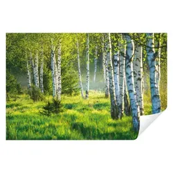 Wallarena Fototapete Wald Birkenwald Birken Sonne 3D EFFEKT Tapete Wohnzimmer Schlafzimmer, Glatt, Wald, Tapete inklusive Kleister Vliestapete Motivtapete 3.68 m x 2.54 m