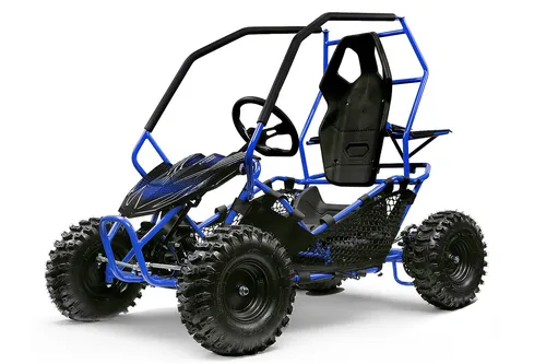 1000W 36V Elektro Buggy Kinder Quad - Miniquad für Abenteuer - Kinder-Elektrofahrzeuge mit 1000W Bürstenloser Motor, abnehmbarer Akkupack und 2-Stufen Drossel für sicheres Fahren. Ideal für aufregende Ausflüge im Freien!