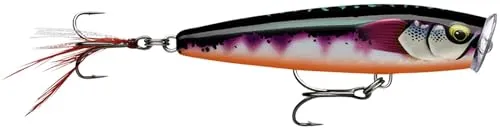 SKITTER POP ELITE SPE75 GDTMN