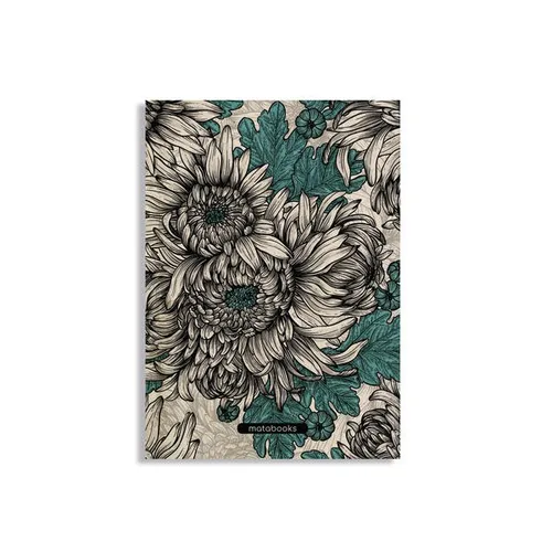Chrysanthemum