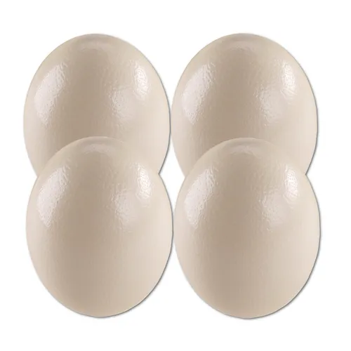 4er Set Straussenei XXL ausgeblasen natur 13-15 cm Afrika Riesenei Vogel Strauß