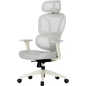 FlexiSpot Bürostuhl BS5WG - Ergonomisch, Grau, Stoff/Netz, mit Kopfstütze - Ergonomischer Bürostuhl mit verstellbarer Kopfstütze und atmungsaktiver Netz-Rückenlehne. Ideal für lange Sitzzeiten und individuellen Komfort. Belastbarkeit bis 136 kg, perfekt für den Büroalltag.