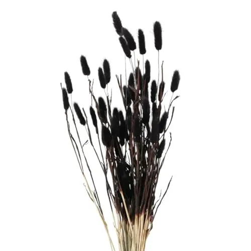 Deko-Zweige für Vase, getrocknet, 70 cm - Wunderschöne getrocknete Dekozweige mit 70 cm Länge für beeindruckende Arrangements. Ideal für Wohnräume, flexibel anpassbar und in eleganten Farben erhältlich.