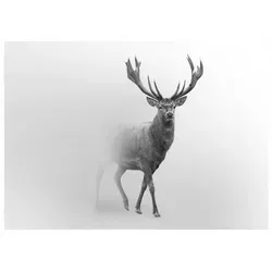 Fototapete Hirsch Tiere Grau 250x175 cm - inkl. Kleister - für Wohnzimmer Schlafzimmer Flur Modern Vlies Tapete Vliestapete Wandtapete Motivtapeten UV-Beständig