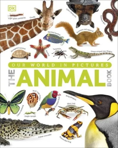 Our World in Pictures The Animal Book von DK - Kinderbuch über Tiere, ideal für neugierige Kinder und fördert das Lernen durch beeindruckende Bilder.