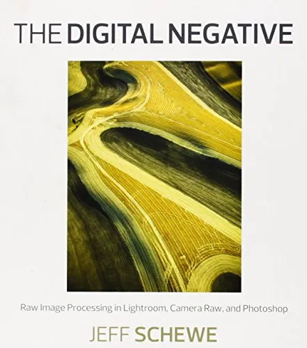 Digital Negative: Raw Image Processing in Lightroom, Camera Raw, and Photoshop
