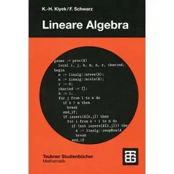 Lineare Algebra von Karl-Heinz Kiyek/ Friedrich Schwarz / Vieweg+Teubner Verlag / Taschenbuch