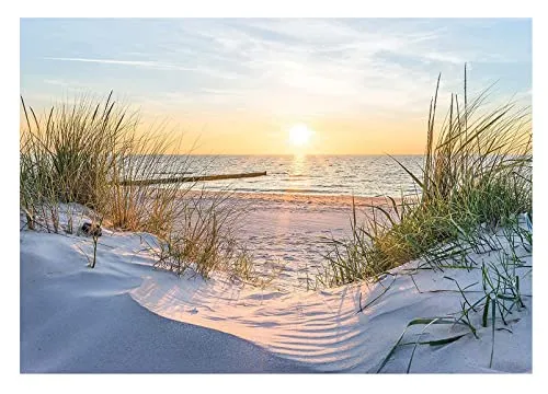 WallArena Fototapete Strand Meer Nordsee Dünen Panorama (208x146 cm) - Tapeten für ein modernes Zuhause, UV-beständig und geruchsfrei, einfach zu montieren und ideal für beeindruckende Raumgestaltungen.