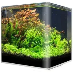 amtra Aquarium-Set Nanotank System 30 l - Aquarien Zubehör: Ideal für den Einstieg in die Nano-Aquaristik mit hochwertigem Innenfilter und dimmbarer LED-Beleuchtung für ein beeindruckendes Unterwasser-Paradies.