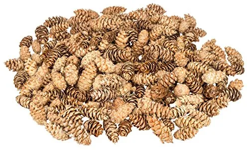 NaDeco Douglasien-Zapfen, ca. 5-8cm, 1kg, ca. 150 STK. | Pseudotsuga menziesii | Tannenzapfen | Douglasienzapfen | Kiefernzapfen | Tannen-Zapfen | Naturzapfen | Weihnachtsdeko | Adventsdeko