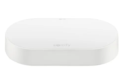 Somfy 1870755 - Connectivity Kit für smarte Steuerung, kompatibel mit io RTS Motoren, Sprachsteuerung über Google Assistant und Amazon Alexa