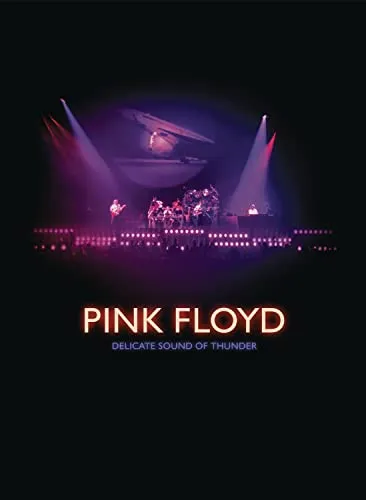 DELICATE SOUND OF THUNDER