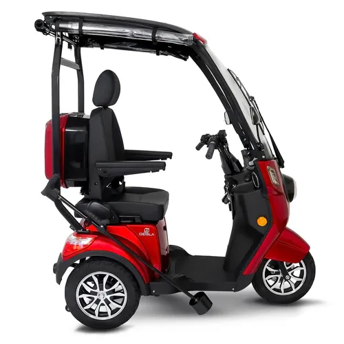 Deisla Dreirad DS3-25 - E-Trike für Senioren, 1000 Watt Motor, integriertes Dach mit Wetterschutz und Bluetooth Lautsprechern