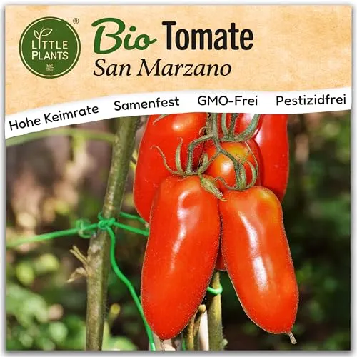 Little Plants BIO Tomate Samen 20 Tomatensamen San Marzano 2 Gemüsesamen Samenfest für Gemüsegarten Gemüse Samen Hochbeet Samen für Küche, Balkon und Garten