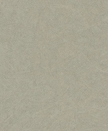 Rasch Tapeten Vliestapete (universell) Grün goldene 10,05 m x 0,53 m Concrete 520279