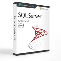 Microsoft SQL Server 2022 User - Zugriffslizenz für flexibles Arbeiten, optimiert für hohe Leistung und Cloud-Integration