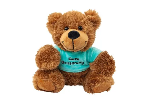Teddys Rothenburg Kuscheltier Bär mit grünem Shirt Gute Besserung 16 cm