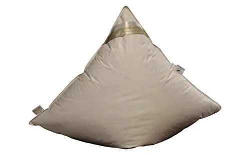 Betten Hofmann Kopfkissen 80x80 cm - Kuschelweiches Daunenkissen - Kopfkissen 80x80 cm, prall gefüllt mit 850g Daunen, Bezug aus 100% Baumwolle, waschbar bis 60°, ideal für Rückenschläfer und Seitenschläfer - für erholsamen Schlaf.