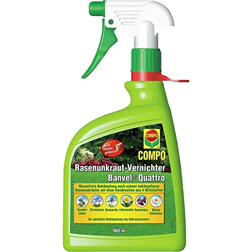 Compo Rasenunkrautvernichter Banvel Quattro AF 1000ml - Hochwirksames, bienengefährliches Unkrautmittel für einen gesunden Rasen, einfache Anwendung und effektive Wurzelbekämpfung