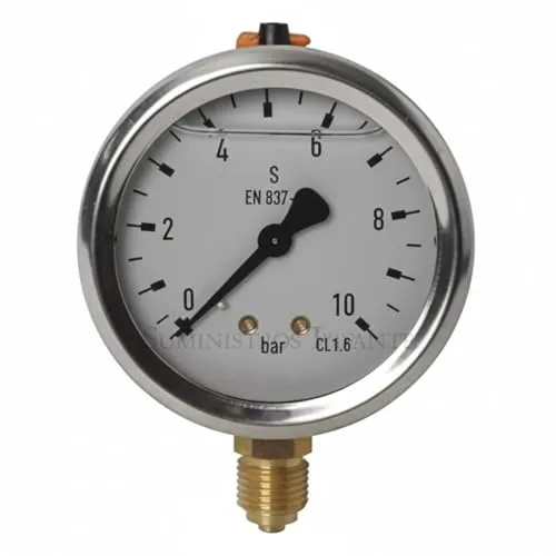 Suinga MANOMETER Kugel GLYCERIN 0-10 Bar 1/4" - Präzises Glycerin-Manometer für Druckmessungen bis 10 Bar. Ideal für Sanitär- und Gartenanwendungen, langlebig und vibrationsgeschützt. Einfache Montage dank 1/4'' Standardanschluss.