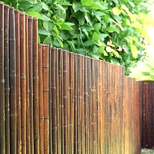 DE-COmmerce® Hochwertiger Bambus Zaun Sichtschutz ATY Nigra, oben geschlossen, Rollzaun, Gartenzaun, Sichtschutzzaun für Garten, Terrasse, Balkon (HxB) 180 cm x 180 cm