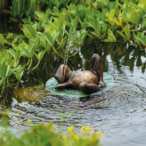 esotec Wasserspeier-Set FROSCH auf Seerosen-Blatt mit Solarpumpe - Bachläufe & Wasserfälle, dekorativer Frosch-Wasserspeier mit umweltfreundlicher Solarpumpe für stimmungsvolle Wasserspiele im Garten.