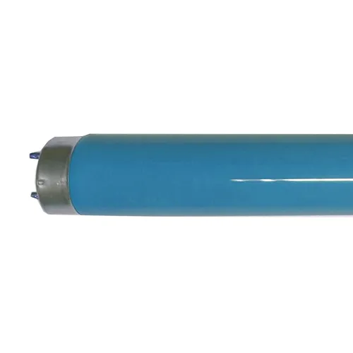 Philips Leuchtstoffröhre MASTER TL-D - T8, 180 Blau - 18W - Effiziente Leuchtstofflampe für Arbeitszimmer, mit G13-Sockel und kompaktem Design. Ideal für eine gleichmäßige Lichtverteilung und energieeffizienten Einsatz.