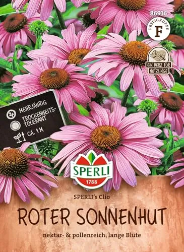 SPERLI Roter Sonnenhutsamen SPERLI's Clio 86916 – mehrjährige, winterharte Staude mit großen pink-purpurnen Blüten, trockenverträglich, bienenfreundlich, ideal für Rabatten und Bauerngarten, 1 Portion