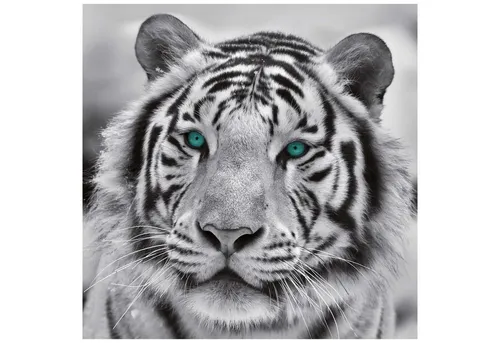 Bild Keilrahmenbild RIVO, Schwarz, Weiß, B 35 cm