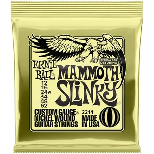 Mammoth Slinky .012-.062 2214