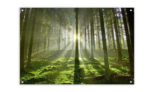 artissimo Garten-Poster Wald 90x60cm – Naturnahe Deko für Außenbereiche - Wetterfestes Garten-Poster im Querformat 90×60 cm mit beruhigendem Waldmotiv. Perfekt für Terrasse, Balkon oder Garten. Verleiht Ihrem Außenbereich eine harmonische und entspannende Atmosphäre.