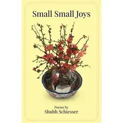 Small Small Joys von Shubh Schiesser / Amazon Digital Services LLC - Kdp / Taschenbuch