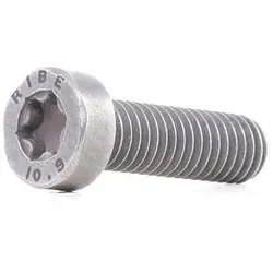 BOSCH Schraube F 00N 202 191 81904900804,5600735570,8201011778 99478122