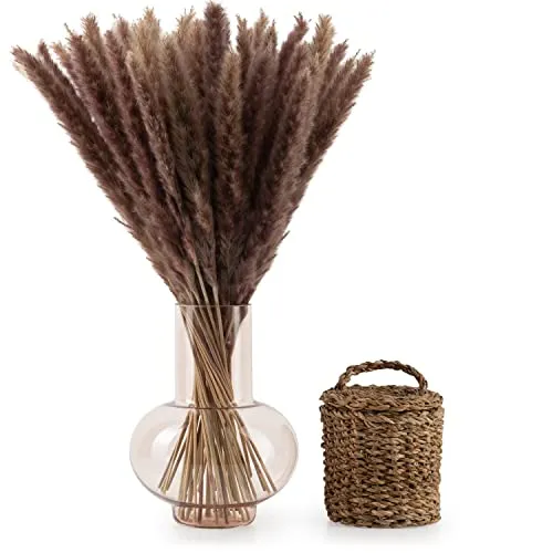 Blumtal 30 Stück Pampasgras getrocknet - Trockenblumen Pampas Grass, Naturbraun