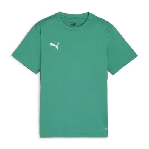 Puma Unisex Teamgoal Trikot Jr T-Shirt, Sport Green-Puma White-Power Green, 152 EU