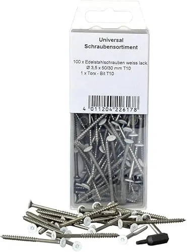 KGM Torx-Schrauben – weißer Kopf, rostfreier Edelstahl – 100 Schrauben, 1x Torx Bit