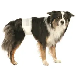 Trixie Rüdenwindeln - 12 Stück S-M/30-46cm - Praktische Windeln für Hunde mit einem Taillenumfang von 30-46 cm, ideal für hygienische Lösungen und Reisen.