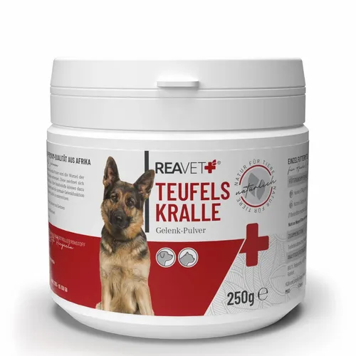 ReaVET Teufelskralle für Haustiere - Natürliche Unterstützung für die Gelenkfunktion Ihres Tieres. REAVET Teufelskralle fördert die Beweglichkeit und Agilität, ideal für aktive Begleiter. Hochwertige Inhaltsstoffe für die tägliche Fütterung.