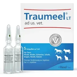 Traumeel LT Ampullen für Tiere - Bewährte Lösung zur Unterstützung der Regeneration Ihres Tieres. Ideal für aktive Hunde und Katzen, die sich kleine Verletzungen zuziehen. Fördert das Wohlbefinden und die Mobilität im Alltag.