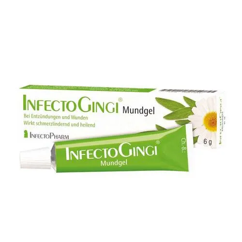 INFECTOGINGI Mundgel - Mundgel zur unterstützenden Behandlung von Entzündungen und Wunden in der Mundhöhle, mit beruhigendem Kamillenblütenextrakt und schmerzlinderndem Lidocain.