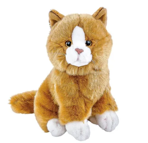 Teddys Rothenburg Kuscheltier Katze Sunny sitzend rotbraun weiß 30 cm Plüschkatze Stofftier (Plüschtier, Kätzchen, Stoffkatze)
