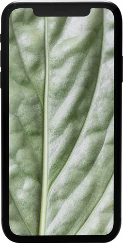 iPhone 11 64GB Schwarz Premium Refurbished