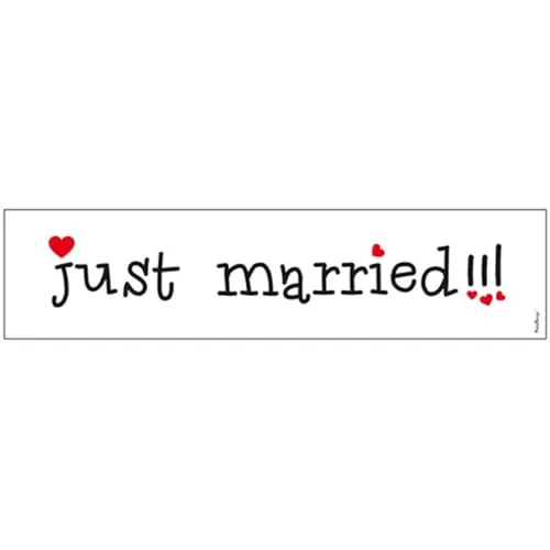 Just Married Nummernschild Karton Autoschild Deko Autoschmuck Hochzeit Hochzeitsauto Hochzeitsdeko