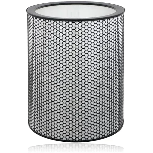 DYSON Big & Quiet Luftreinigerfilter BP03 BP04 BP06 True HEPA