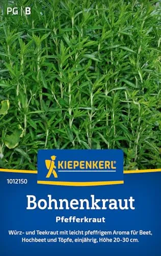 Kiepenkerl Bohnenkrautsamen Pfefferkraut 1012150 - Würz- und Teekraut - Höhe 20-30 cm - Inhalt für 300 Pflanzen - Kräutersamen, Samen Kräuter, Saatgut