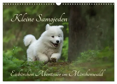 Claudia Pelzer www. Pelzer-Photography. com | Kleine Samojeden - Eisbärchen...